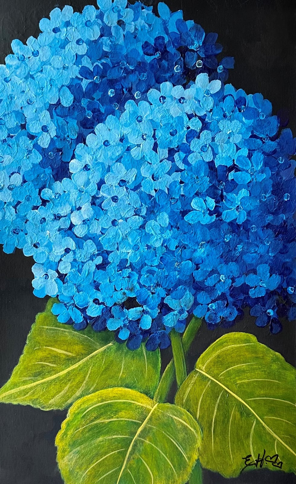 Blue Hydrangeas