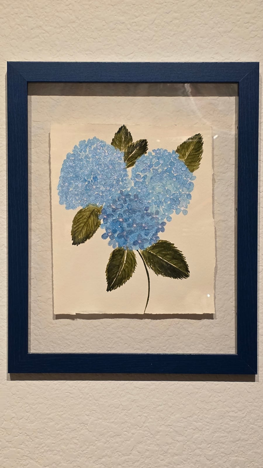 Nikko Blue Hydrangea
