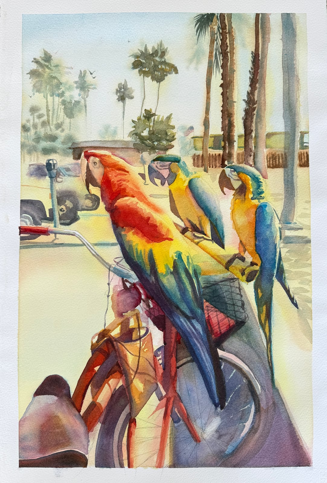 The Bird Man