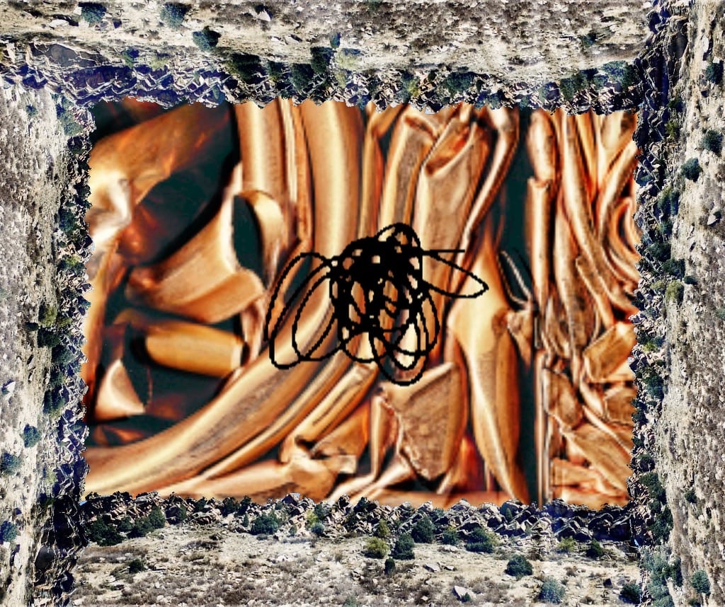 squiggle land