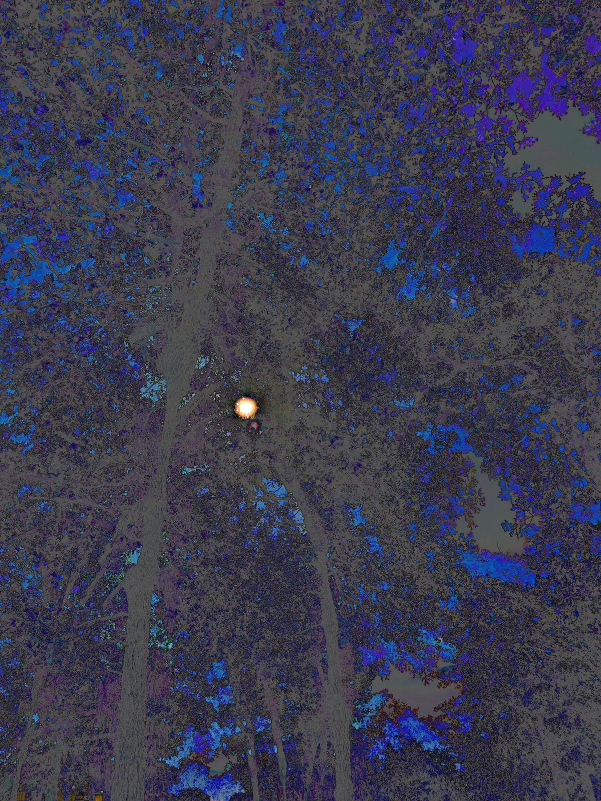 burning moon