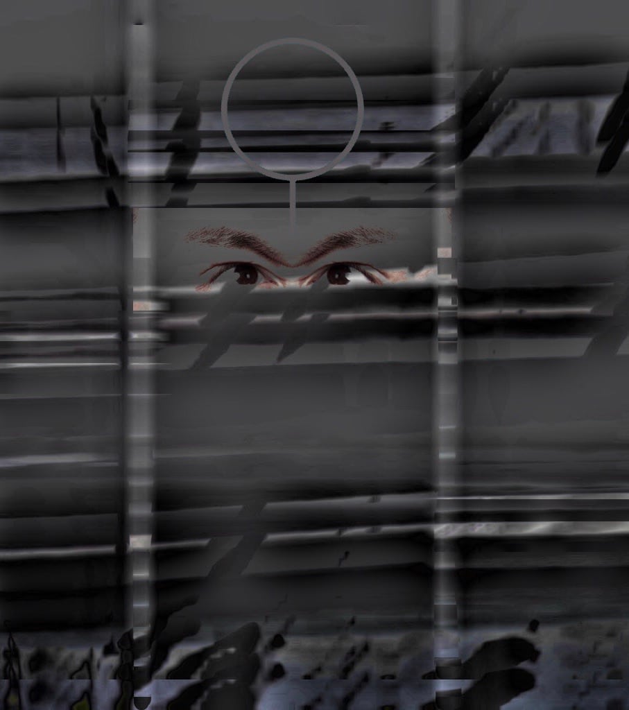 gatewood paranoia