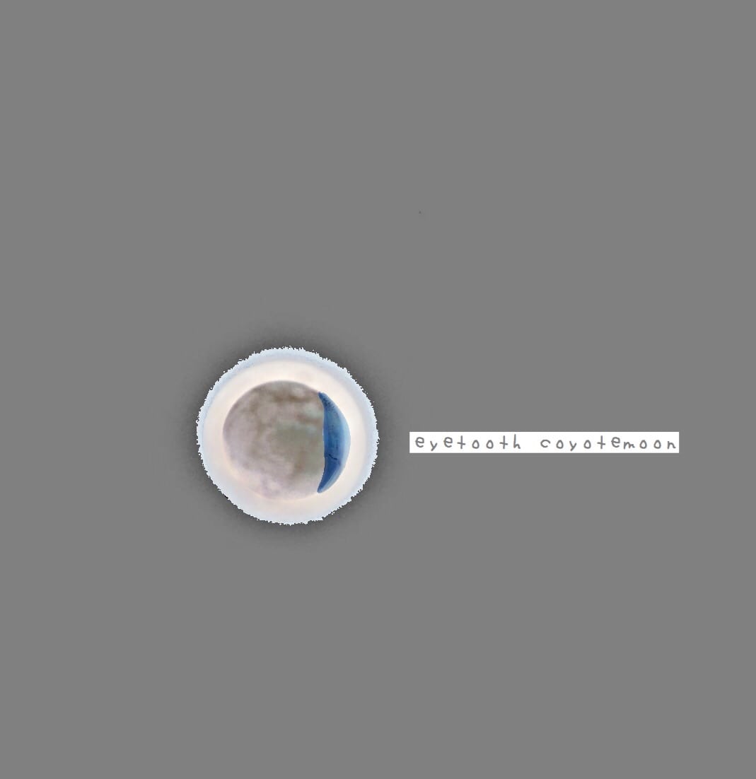 eyetooth coyotemoon