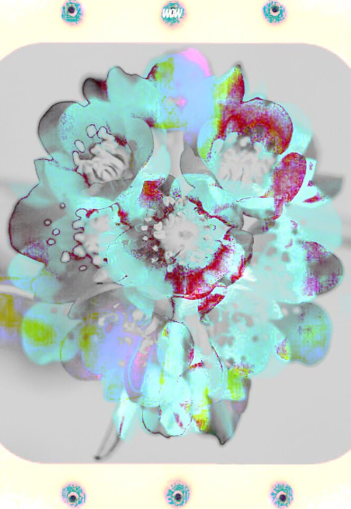 amazing flower