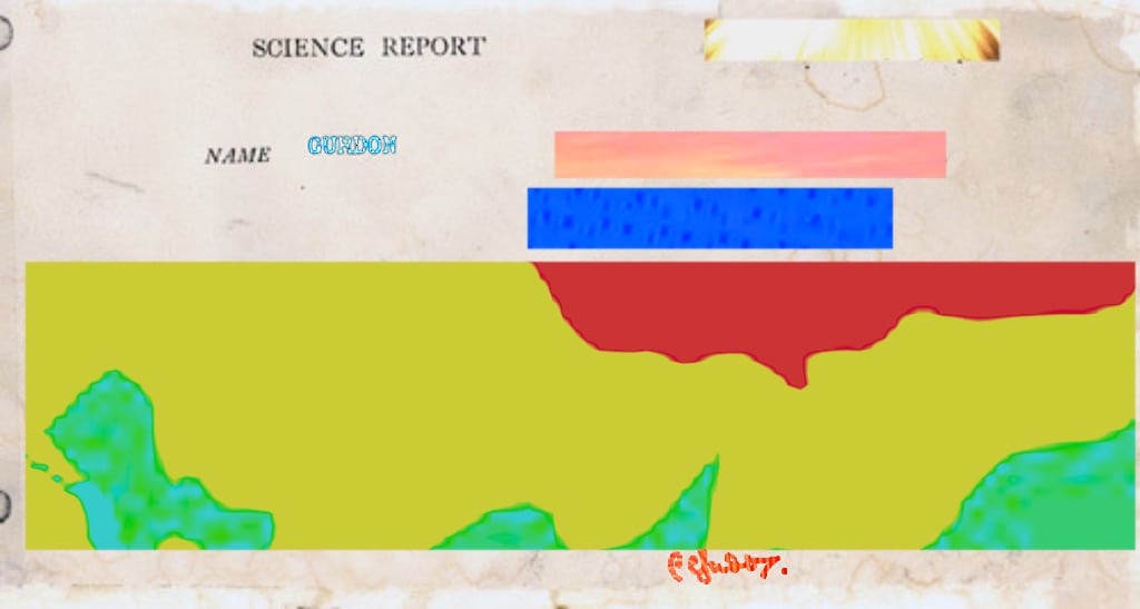 science report