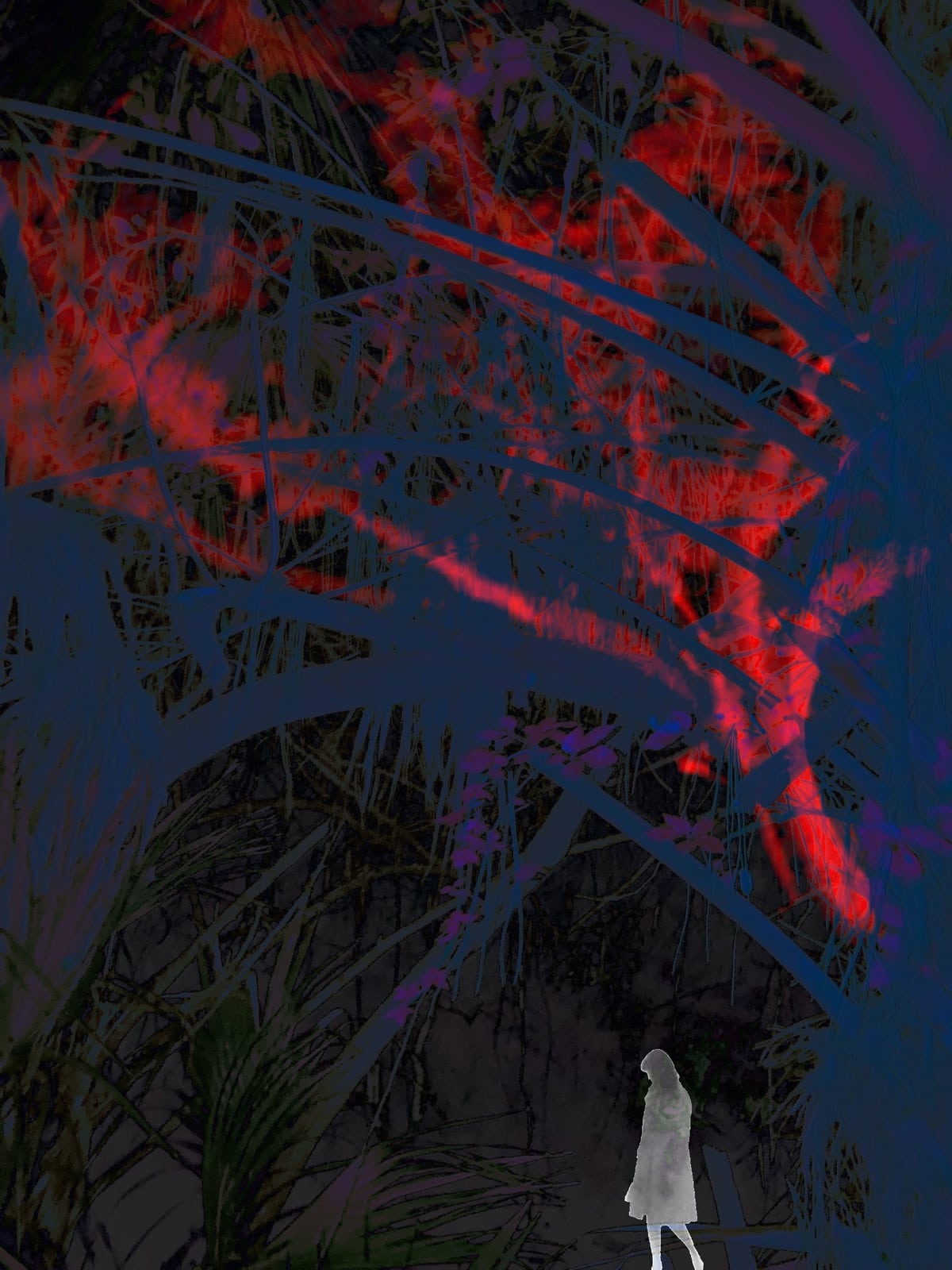 night walk
