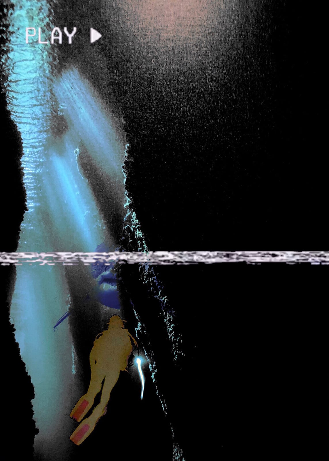shark movie
