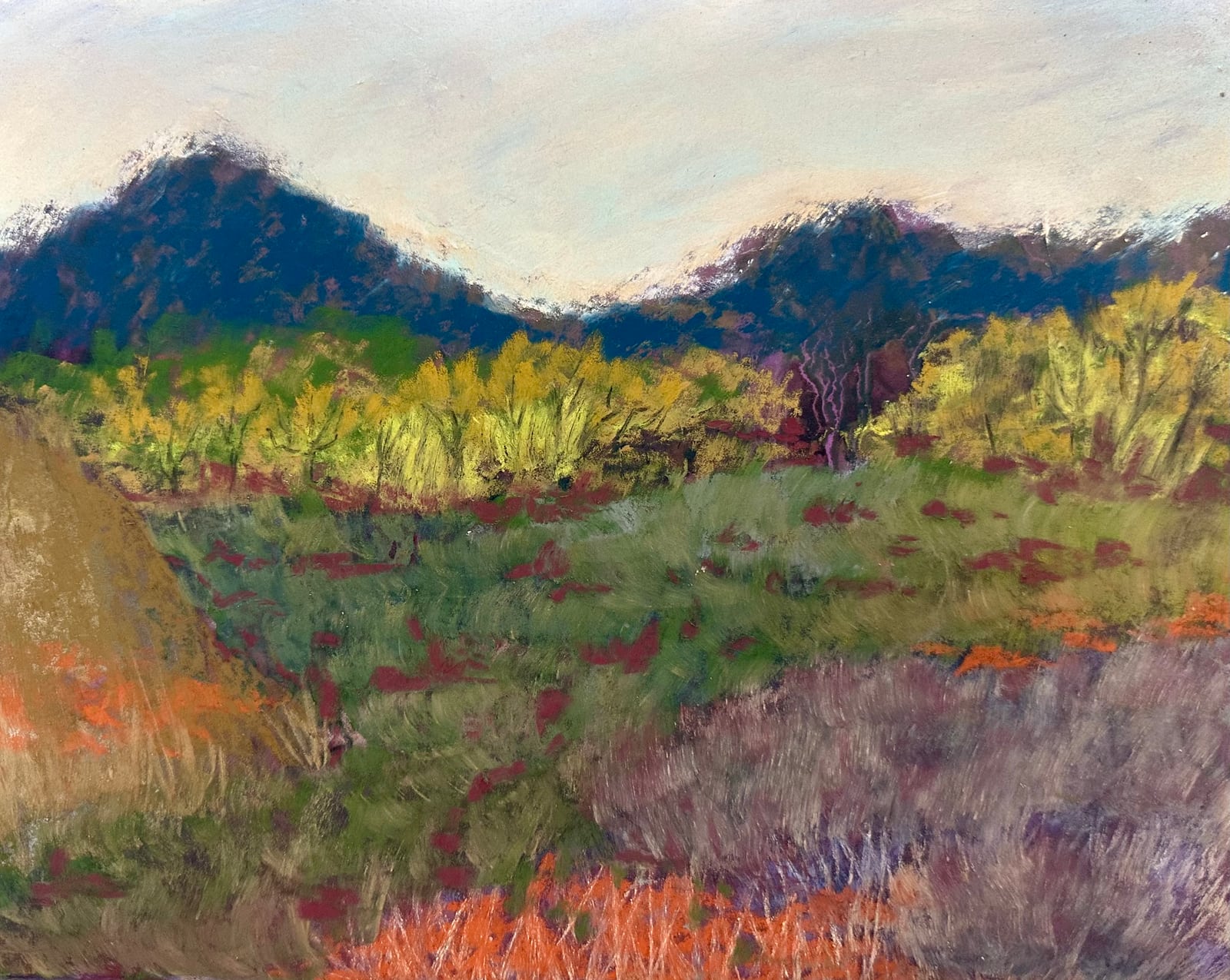 Of Mountains and Marsh