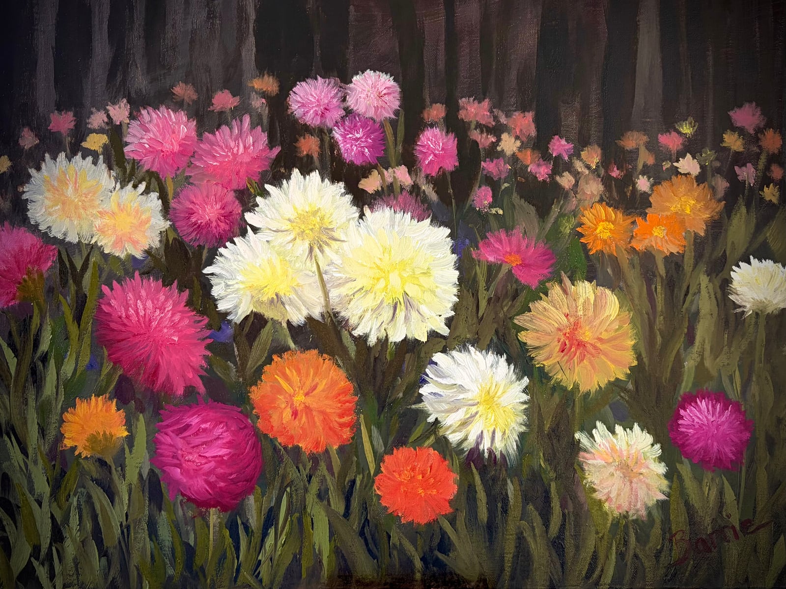 Dance of the Dahlias
