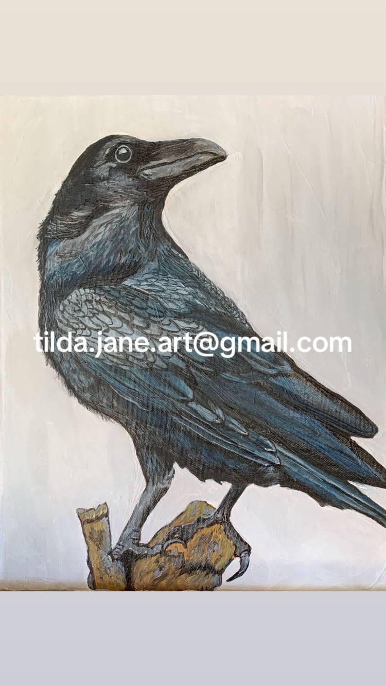 Raven #2
