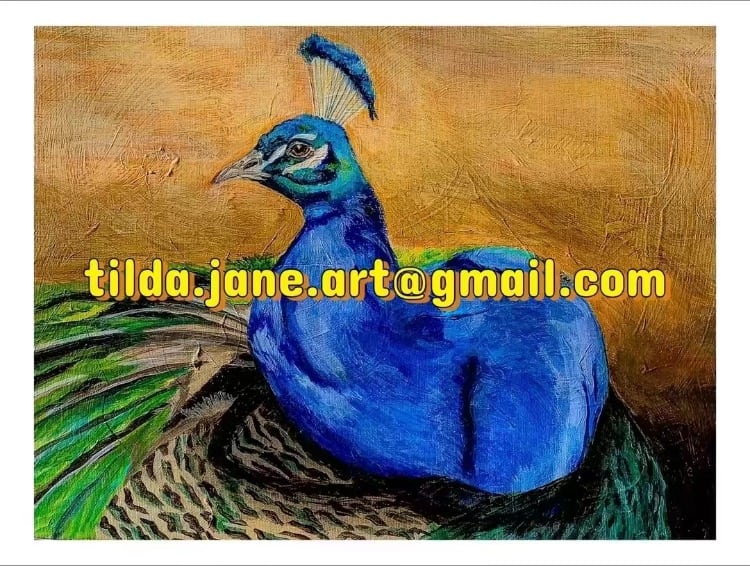Peacock 10x10 Giclee Print of original Acrylic on canvas painting