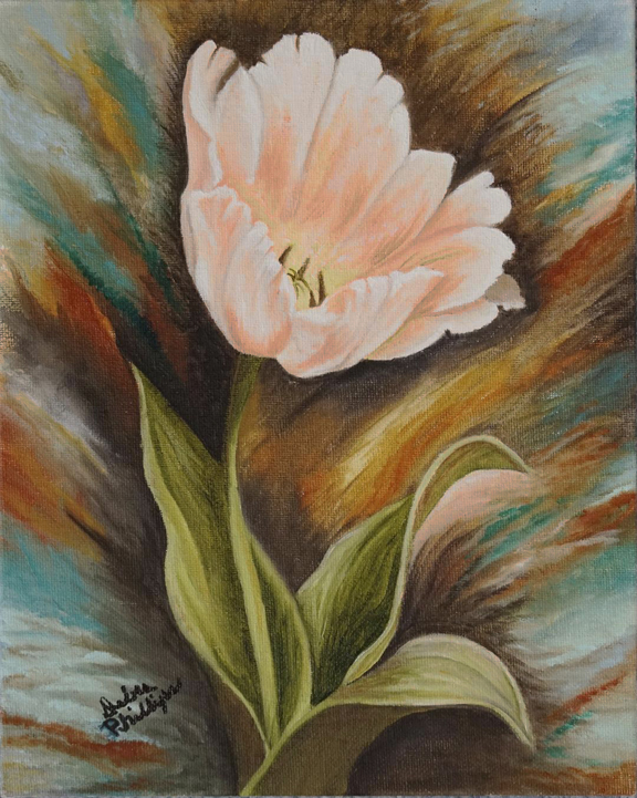 Beautiful Tulip