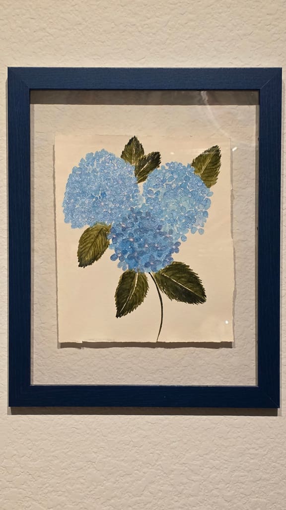 Nikko Blue Hydrangea