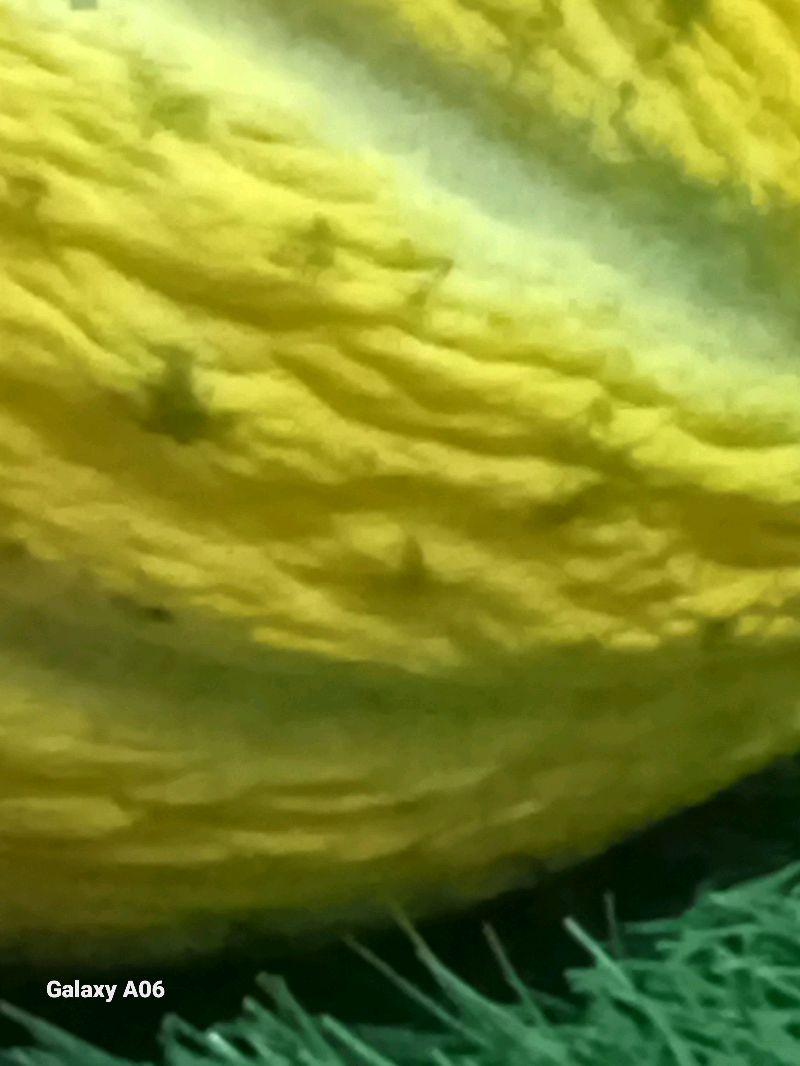 nft dijital fotoğraf 1 tane özel üretimi