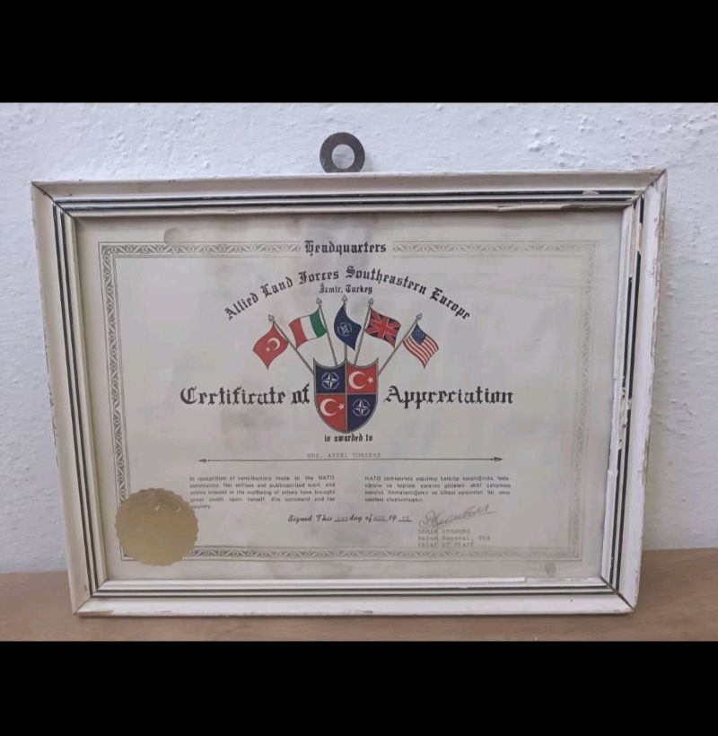 Nato Askeri Berat