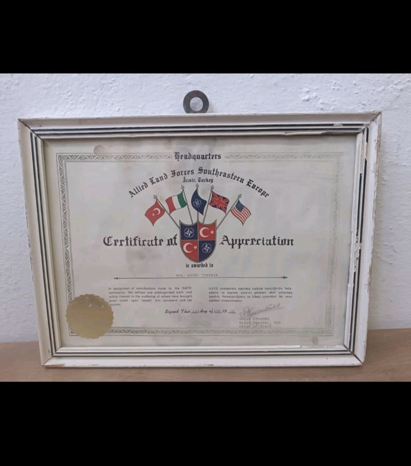 Nato Askeri Berat 3