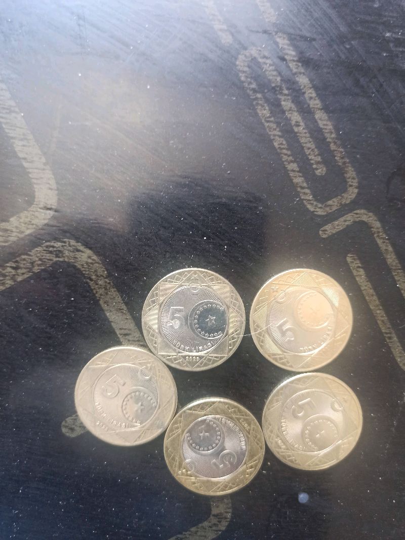 5 TL madeni para 