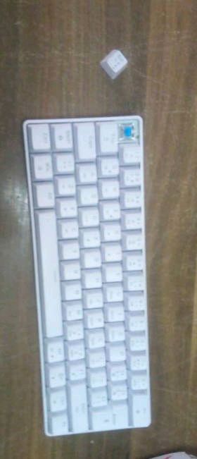 klavye switch blue 2