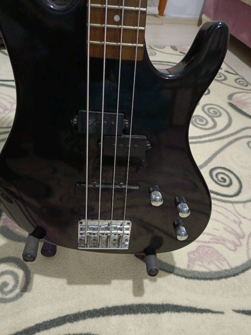 Custom Mod Washburn XB-100 PJ Bass Gitar (Pazarlık Yapılır) 2