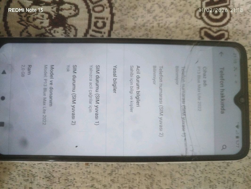 reeder p13 