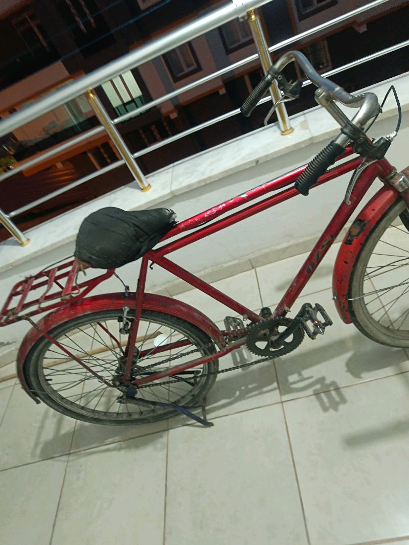 Bisan bisiklet