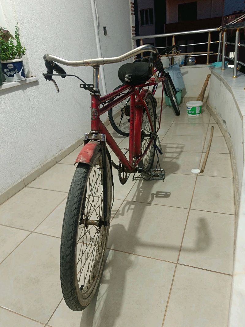Bisan bisiklet 2
