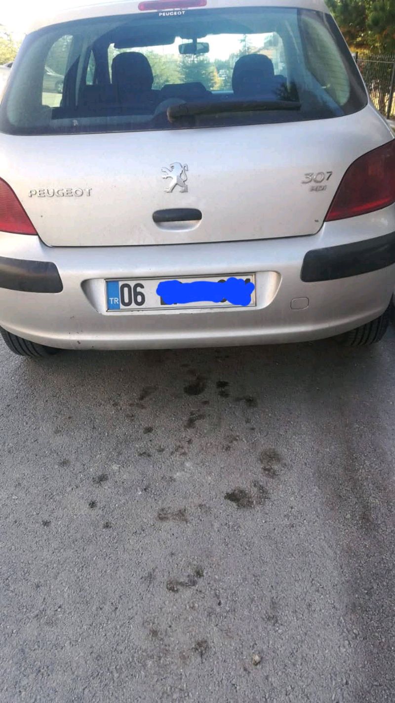 Peugeot 307 full paket  2