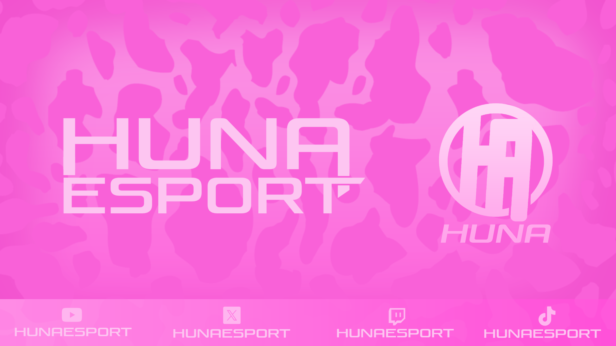 Banniere de l'equipe Huna Esport