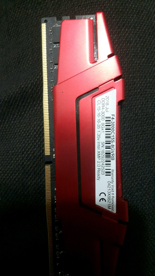 GSKILL 8 GB RAM