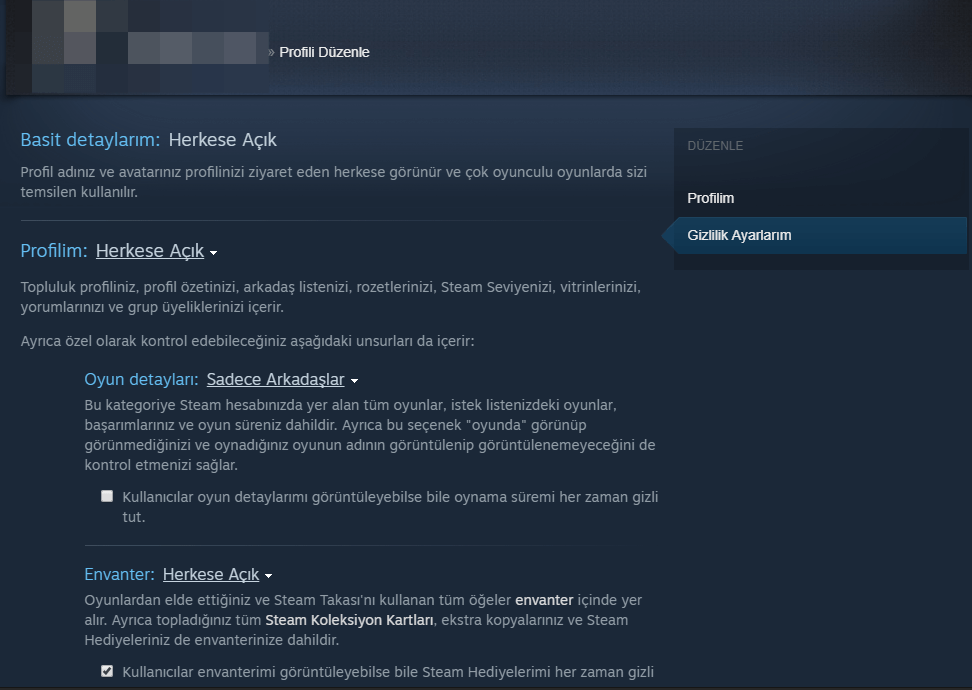 Steam'de çevrimiçi görünmek