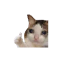 alex's avatar