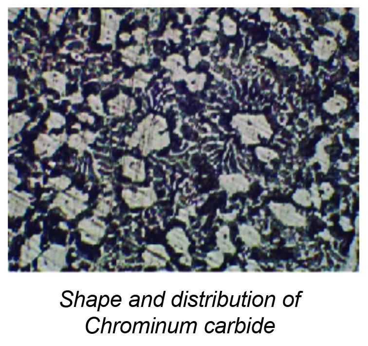 D-Plate S (Smooth Type) 1
