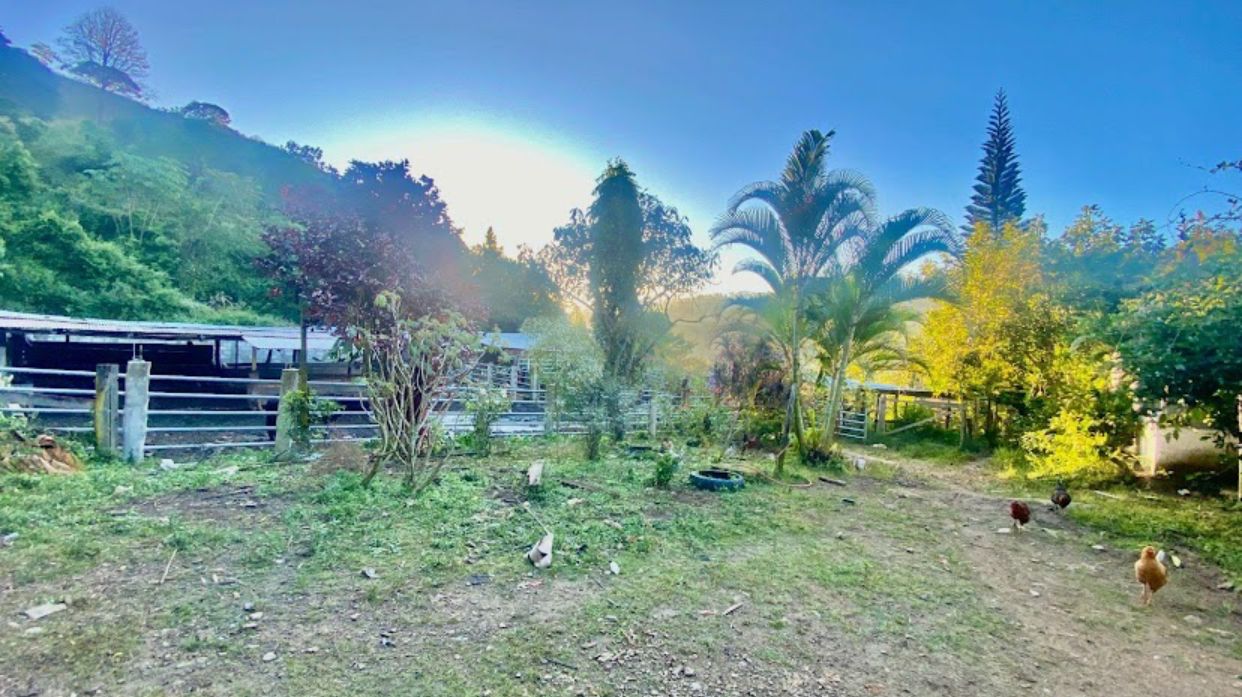 Imagen de Rancho Galo’s El Nuevo Amanecer