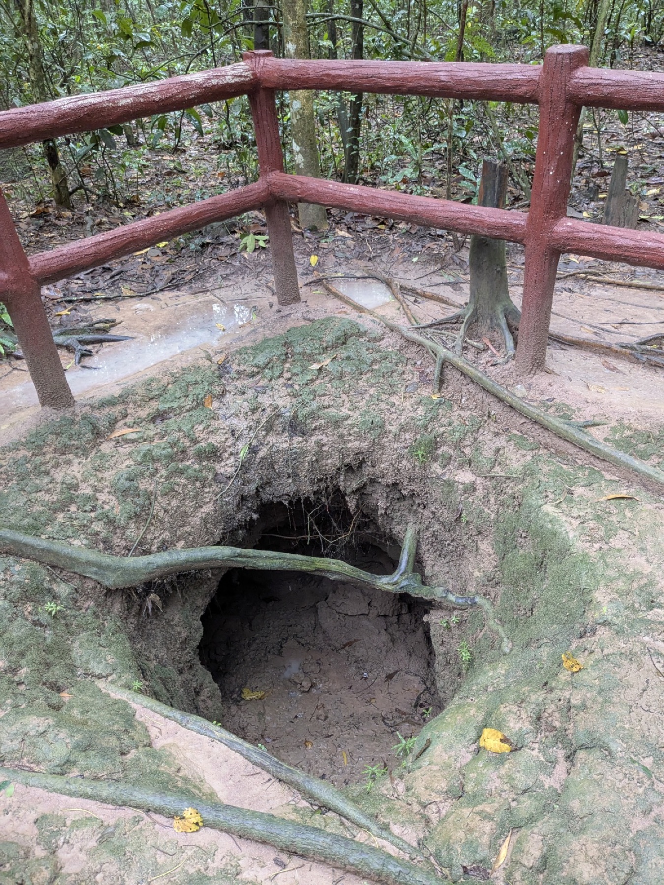 A narrow concealed entrance at the Cu Chi tunnels