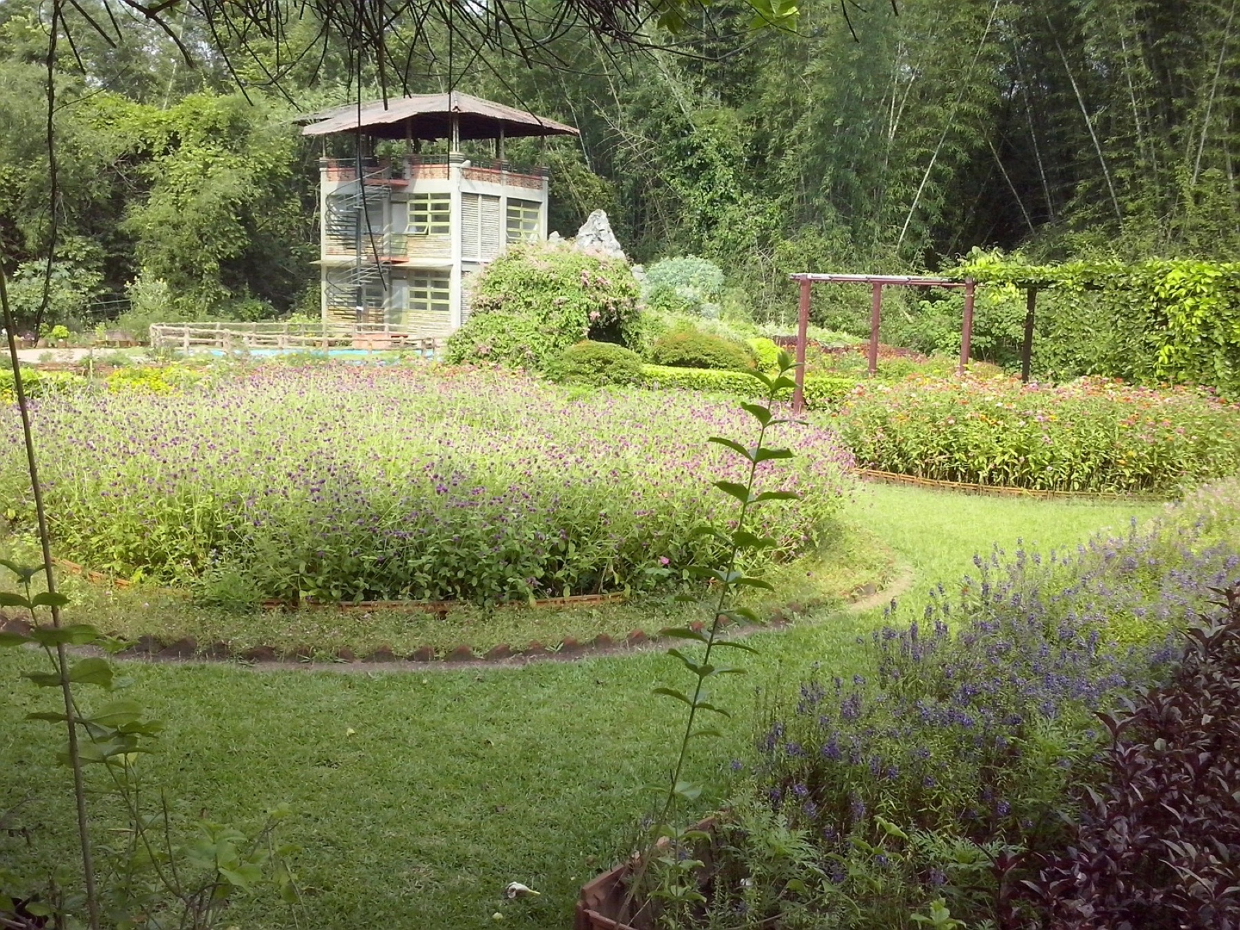 A green garden and path in Nilambur