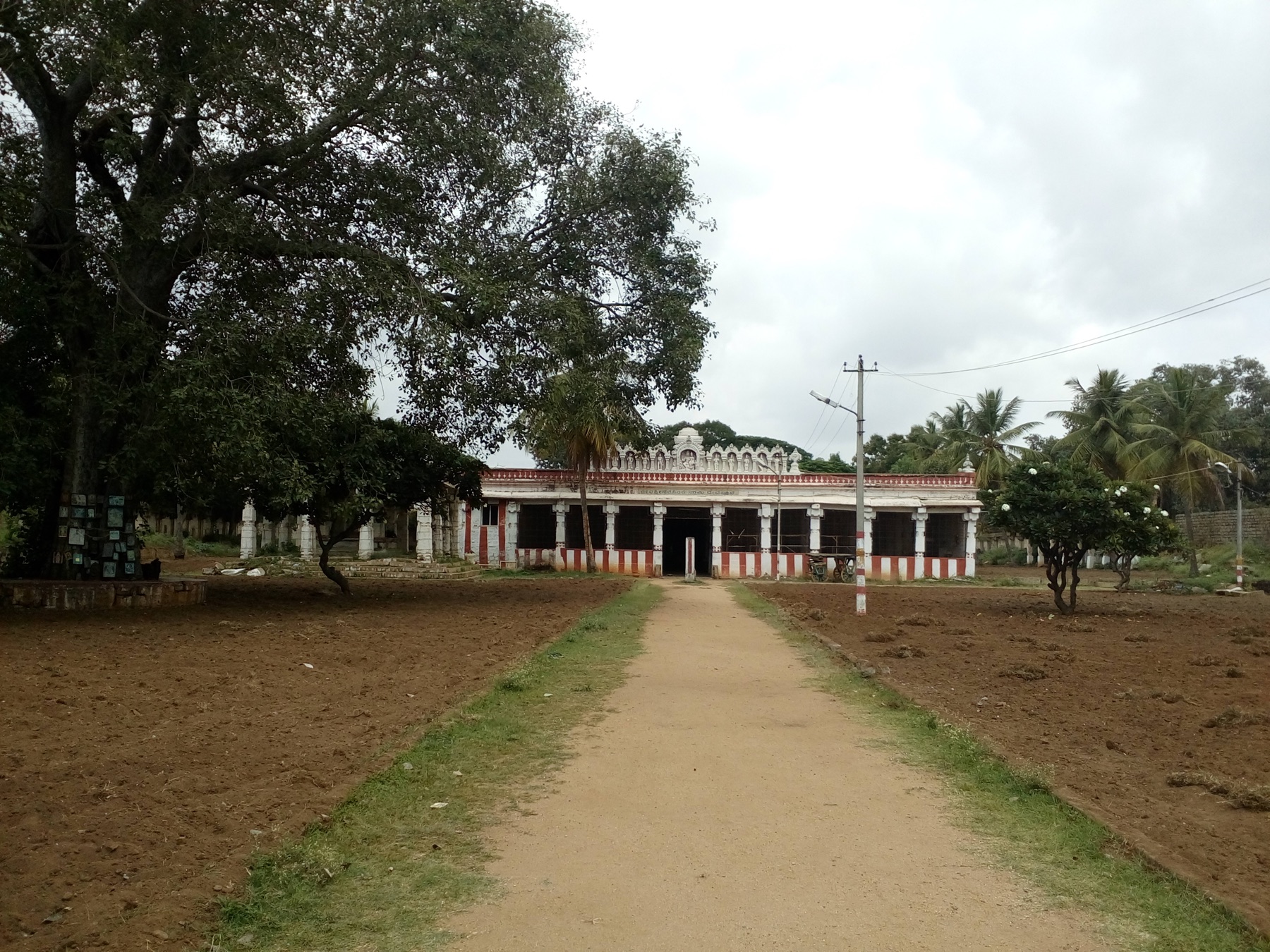 A tree-lined approach to a historic pavilion in Srirangapatna