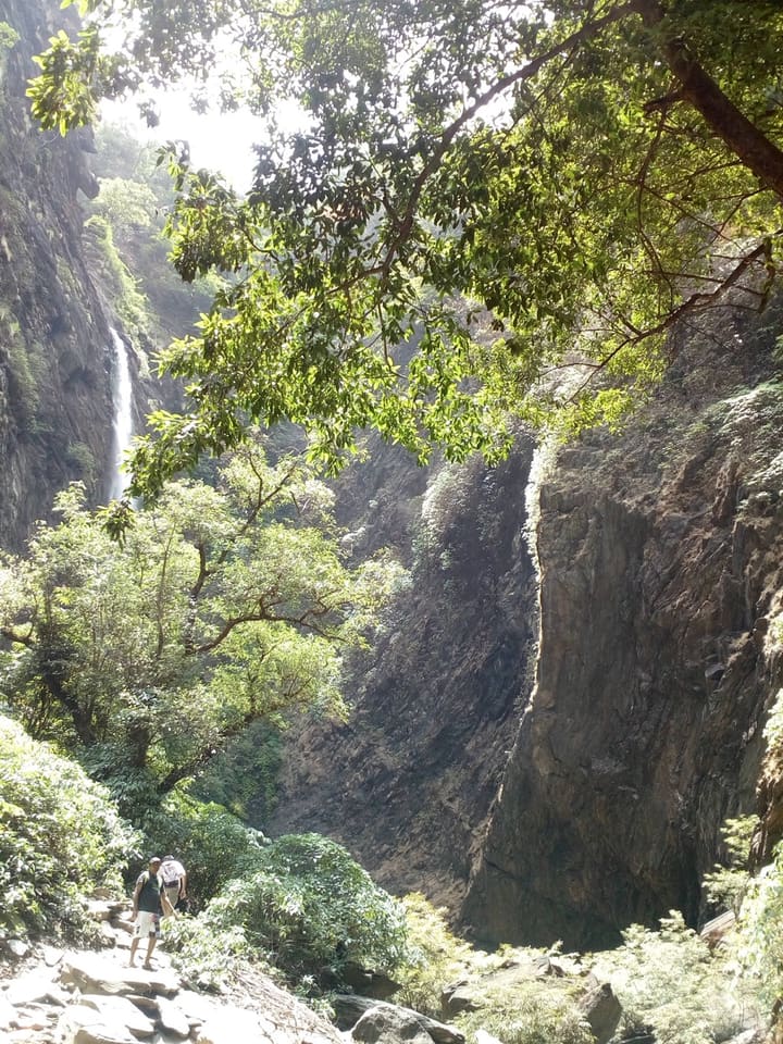Koodlu waterfall descending through dense Western Ghats forest