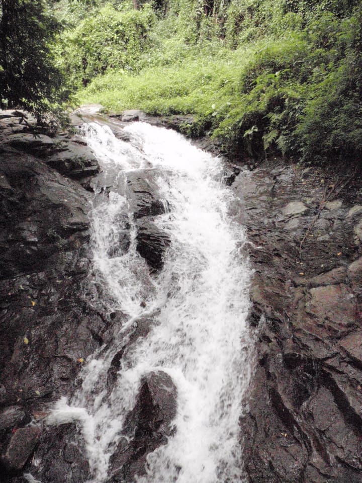A waterfall flowing over dark rock in dense Nelliyampathy forest