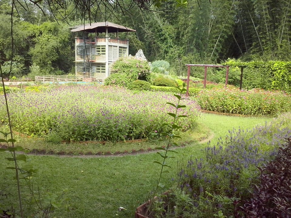 A landscaped garden enclosed by bamboo and forest at Nilambur