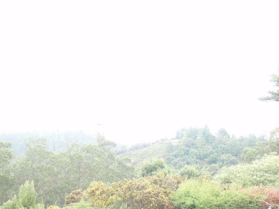 Misty green hills around Ooty in the Nilgiris