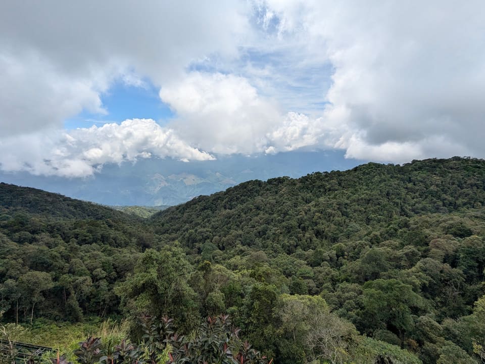 Forest-covered mountains seen from Ba Na Hills