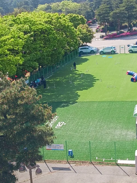 신안산대학교 반려동물과 야외 훈련장 전경. 반려동물 행동·훈련 및 실습 교육을 위한 야외 교육공간으로 운영되고 있다
