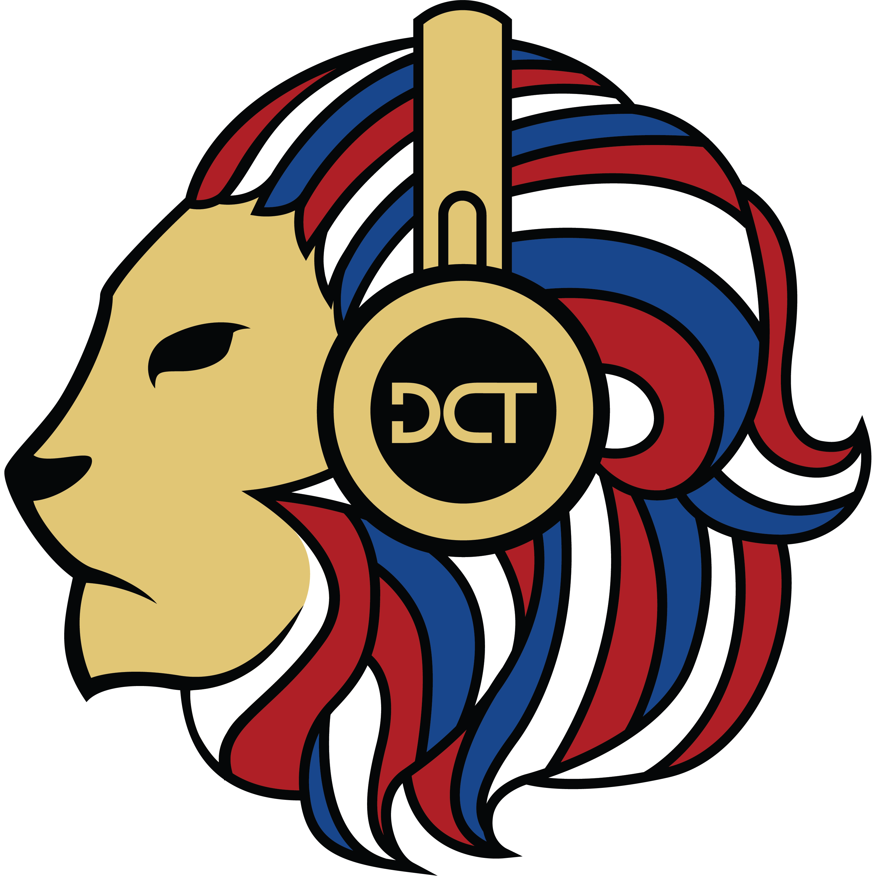 DCT Blue | LEAGUE OF LEGENDS Team - Gankster