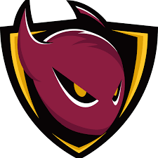 ASU Gold | VALORANT Team - Gankster