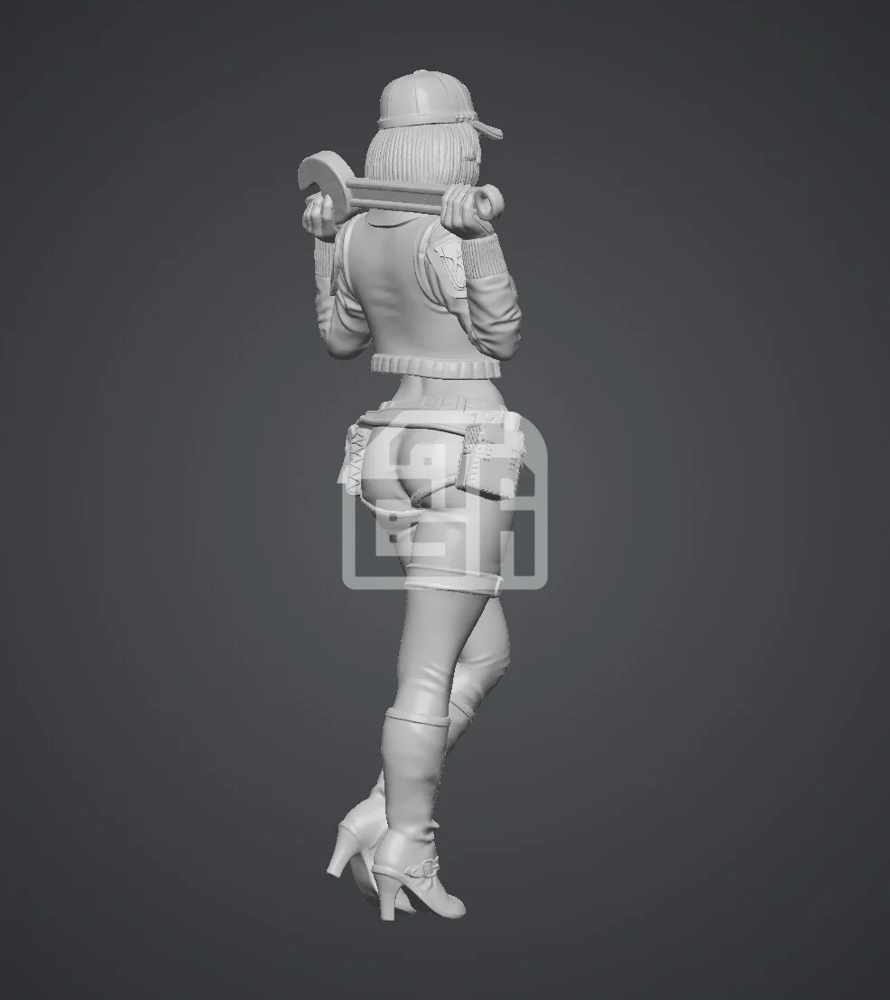 Figure nữ thợ máy cực phẩm xinh đẹp gợi cảm - ảnh 2