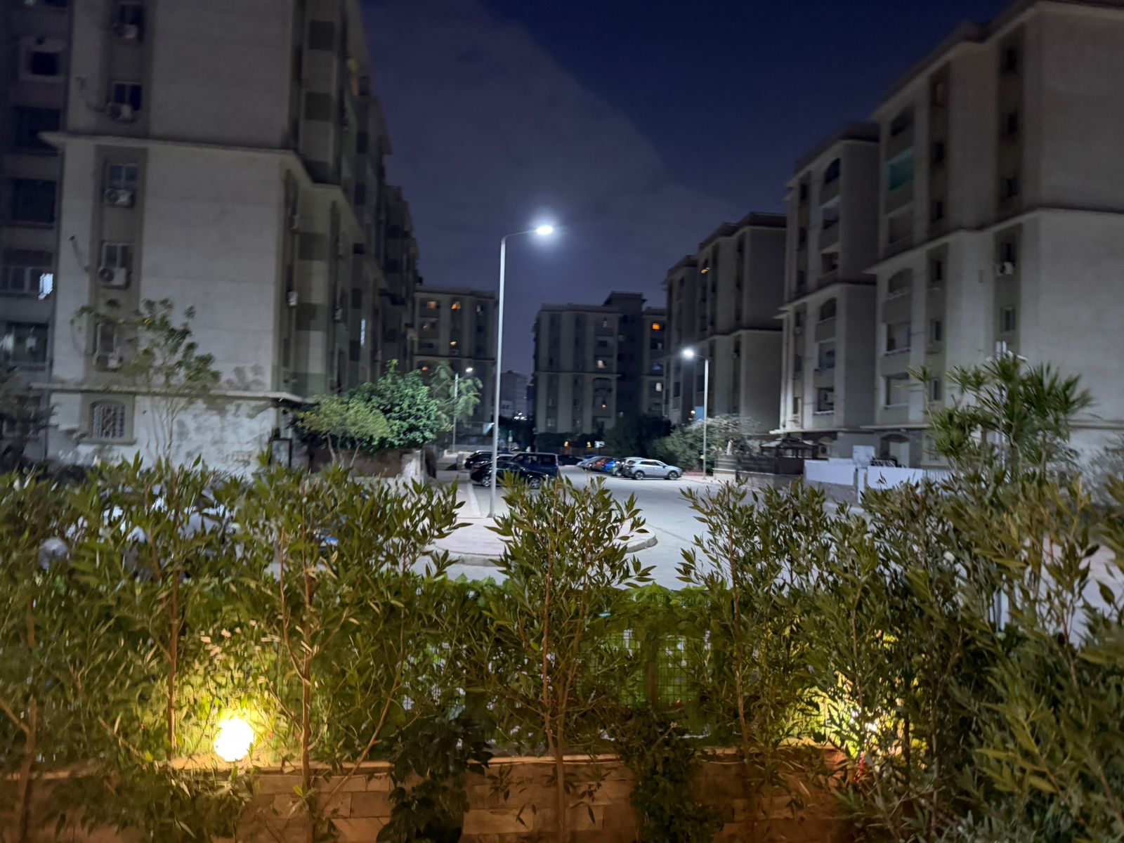 زون 4 ارضى بجاردن - 2