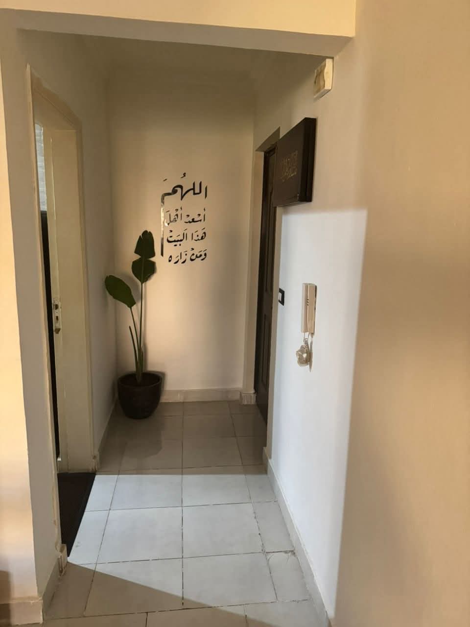 زون 11 دور خامس