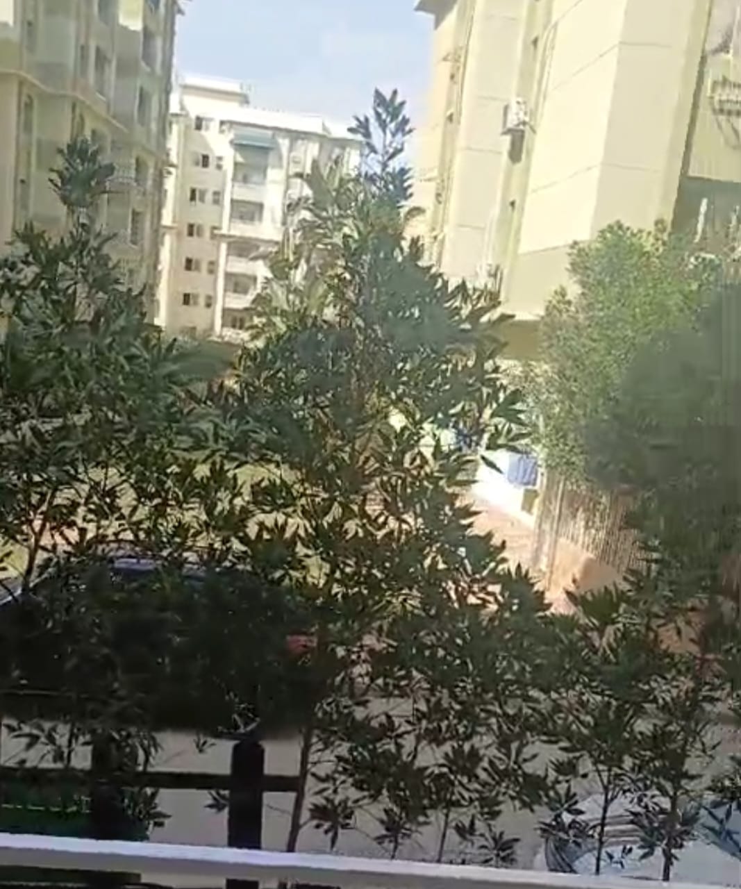زون 4 ارضى بجاردن - 3
