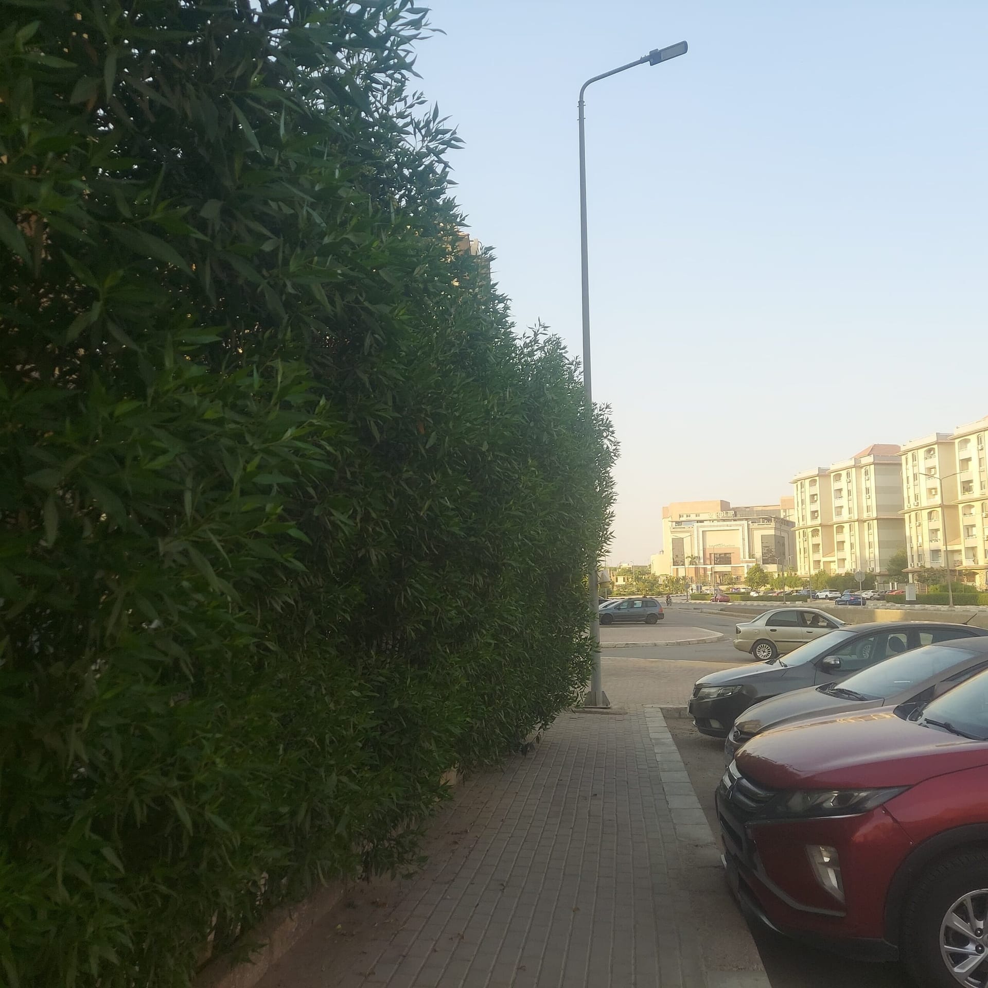 شقة دور ارضى جاردن على جاردن