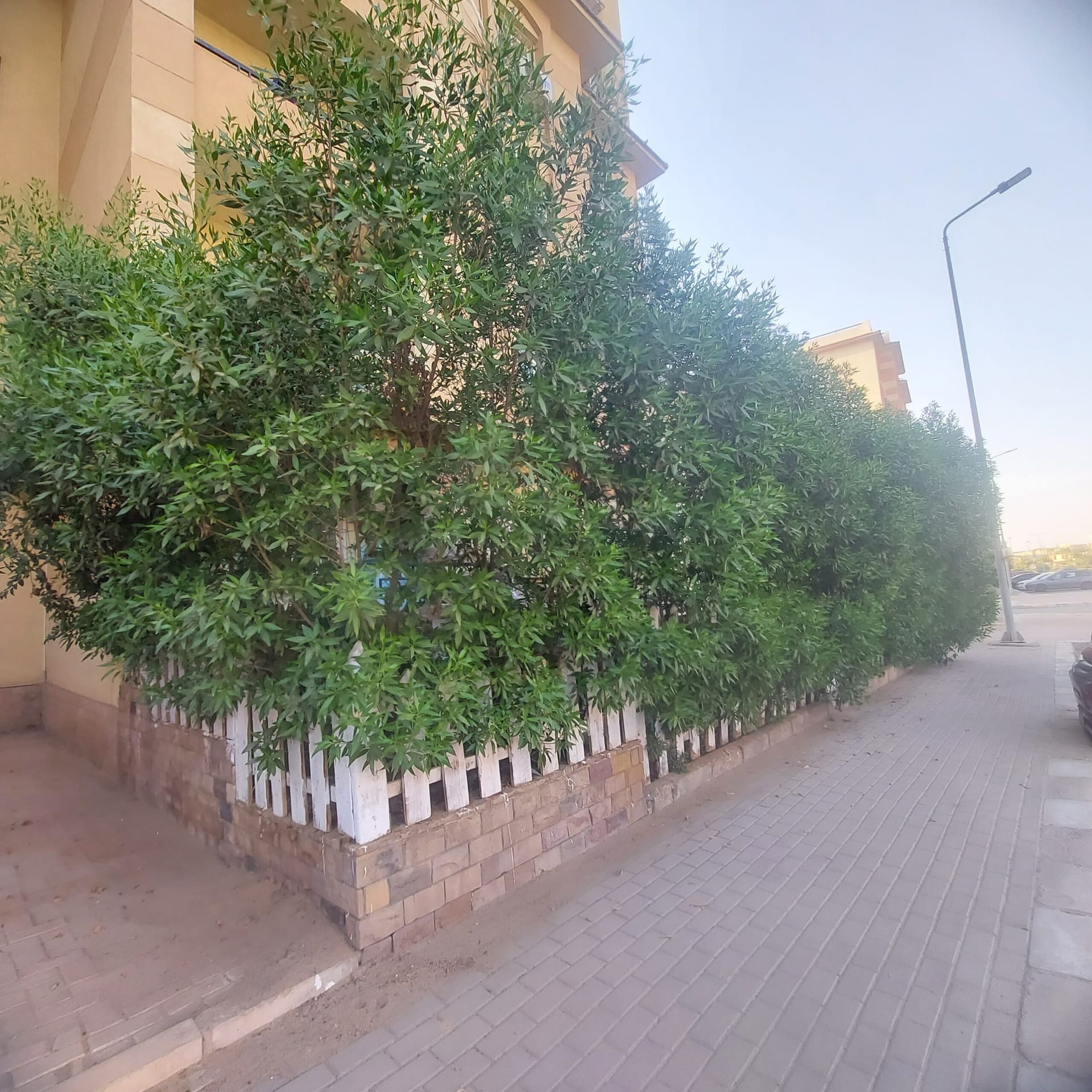 زون 6 ارضى بجاردن على جاردن - 2